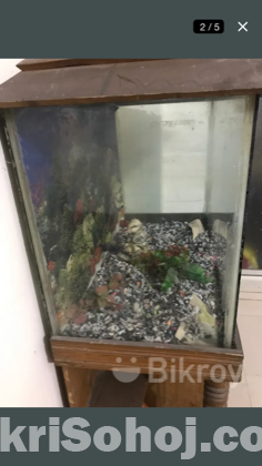 Aquarium